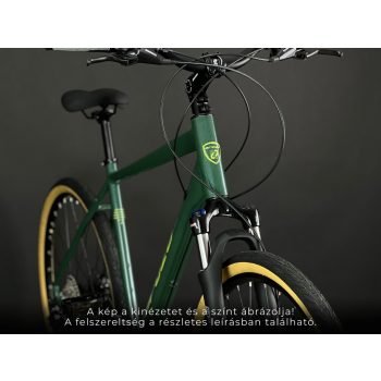 AROZA EVOLUTION X-LIMITED FÉRFI KERÉKPÁR